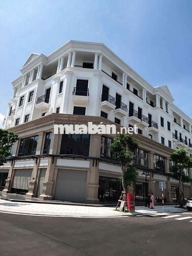 Cho thuê shophouse góc 100m² San Hô Vinhomes OCP full ĐH thang máy