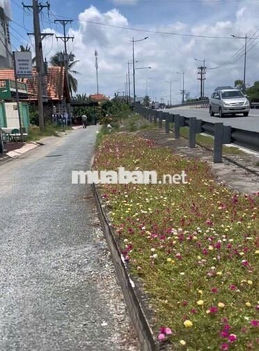 Bán 286m mặt tiền Phan Văn Mãng trung tâm Bến Lức - Long An