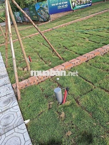 SIÊU PHẨM MỚI – HÀNG HIẾM TẠI HÒA LẠC💥💯