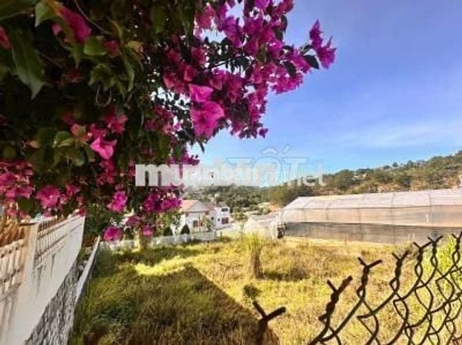 Cần bán gấp đất 2 mặt tiền đẹp đối diện KDL Thung Lũng Tình Yêu, P8