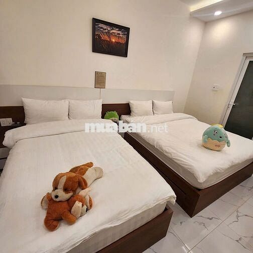 Nhà Mặt tièn 100m2 Ngang 6.2m Đường Thi Sách Trung tâm Đà Lạt