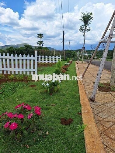 Gia đình có việc cần bán lô đất đã có nhà ở Bảo Lộc.