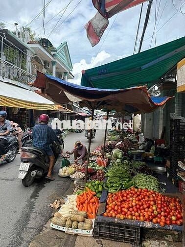 BÁN ĐẤT TẶNG NHÀ NÁT,TÂN THÔNG HỘI,CỦ CHI 252M2,GIÁ CÒN THƯƠNG LƯỢNG