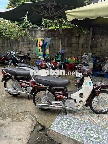 🏍 Dream 50cc 2025 – Chưa xăng ❤️