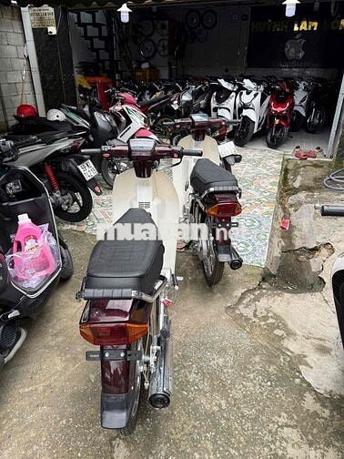 🏍 Dream 50cc 2025 – Chưa xăng ❤️