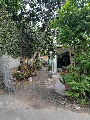 BÁN ĐẤT NÔNG NGHIỆP TẠI XÃ TÂN HIỆP, HÓC MÔN – GIÁ RẺ GẤP