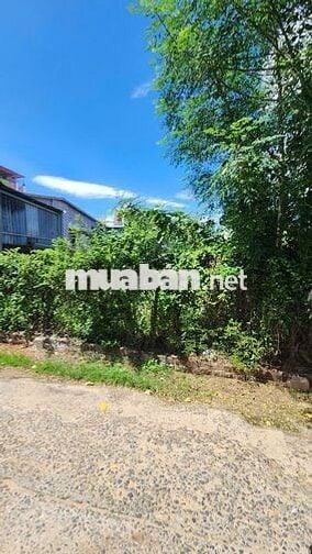 112m2 thổ cư 2 mặt tiền trước sau huỳnh thúc kháng giá 1ty250, thịnh