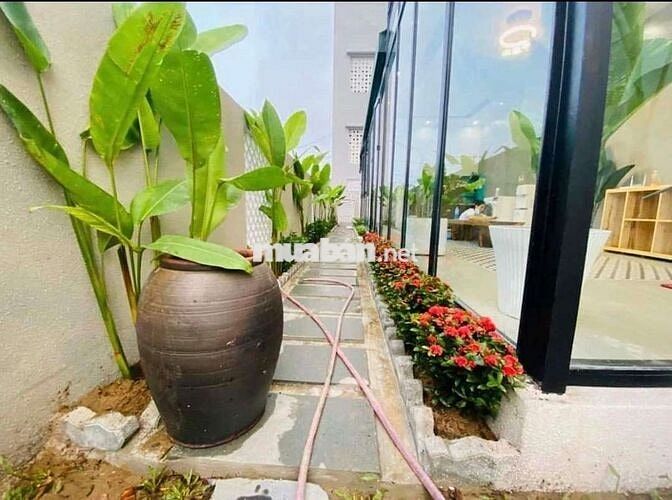 Cho thuê nhà vườn gần Nguyễn Phước Lan, hòa xuân