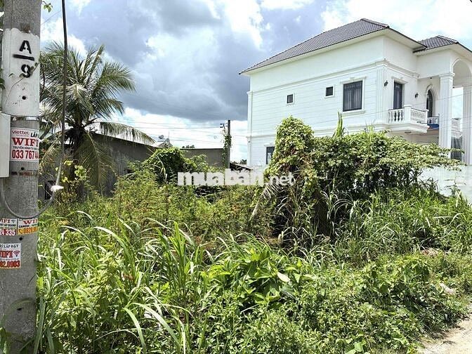 BÁN ĐẤT THỔ CƯ MẶT TIỀN ĐƯỜNG NHỰA VIEW KHU NHÀ T& T PHƯỜNG PHƯỚC HẬU