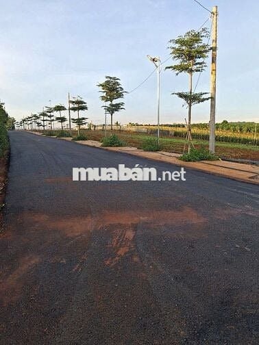 Sở hữu ngay đất nền pháp lý sạch – sinh lời bền vững