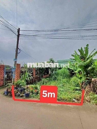 BÁN ĐẤT SỔ HỒNG RIÊNG P TÂN VĨNH HIỆP