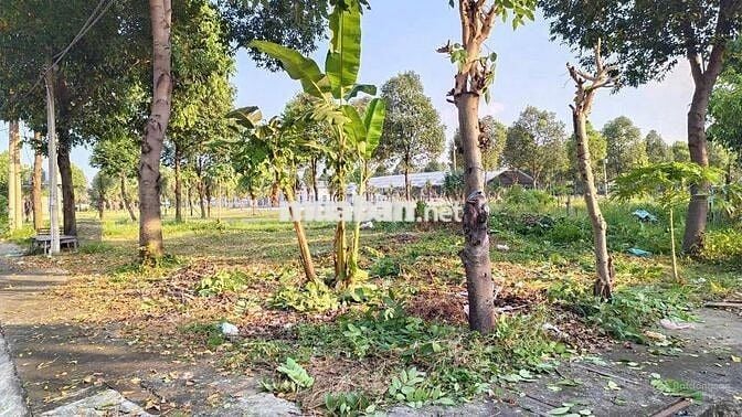 Bán đất tại đường D14 - 5A, Bàu Bàng lô góc 133 m2 sổ hồng sẵn