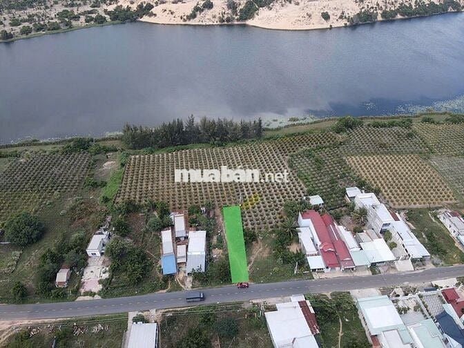 Bán đất nền mặt tiền đường nhựa 716 view hồ Bàu Trắng, Bình Thuận.