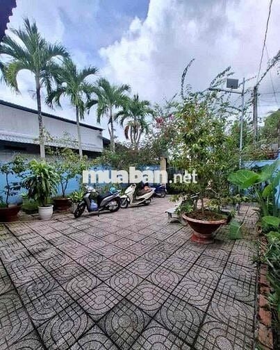 Nhà vườn Bình Chánh 200m2, mặt tiền nhựa, SHR chỉ 780 Triệu