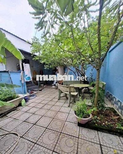 Nhà vườn Bình Chánh 200m2, mặt tiền nhựa, SHR chỉ 780 Triệu