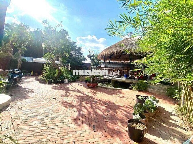 🌻CHO THUÊ BIỆT THỰ SÂN VƯỜN 380M2 MỚI FULL NỘI THẤT CAO CẤP