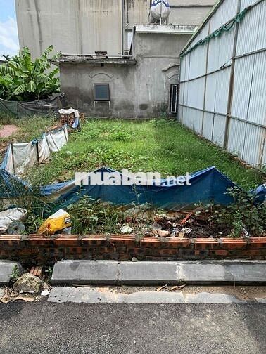 ĐÓN ĐẦU THÀNH PHỐ THÔNG MINH, BỆNH VIỆN TH MEDICAL, CÔNG VIÊN KIM QUY ĐÓN ĐẦU THÀNH PHỐ THÔNG MINH, BỆNH VIỆN TH MEDICAL, CÔNG VIÊN KIM QUY