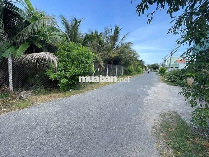 Đất MT Nguyễn Quang Đại, P.5, 5x23,1m, đường 9m, sát ngã ba, sổ hồng