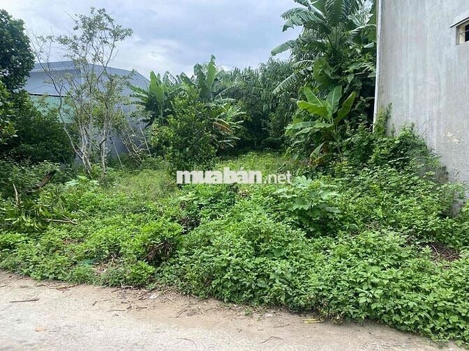Chính chủ Bán  Đất có sổ 200m2 khu Quan Châu , Đất thổ cư, sạch đẹp