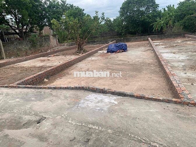 Hàng mới toanh 🔥🔥 ✅ Tại xã Quảng Bị, sát đường tỉnh lộ 419 chỉ 250m ✅
