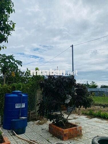 CẦN BÁN NHÀ VƯỜN NGHĨ DƯỠNG 1200M²,1VƯỜN TRÁI CÂY, AO CÁ. Ô TÔ TỚi
