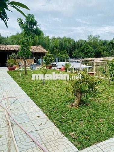 CẦN BÁN NHÀ VƯỜN NGHĨ DƯỠNG 1200M²,1VƯỜN TRÁI CÂY, AO CÁ. Ô TÔ TỚi