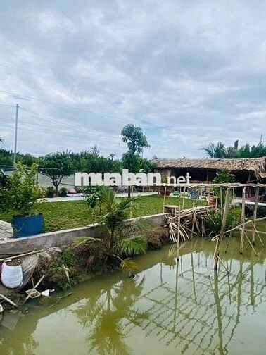 CẦN BÁN NHÀ VƯỜN NGHĨ DƯỠNG 1200M²,1VƯỜN TRÁI CÂY, AO CÁ. Ô TÔ TỚi