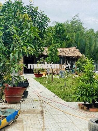 CẦN BÁN NHÀ VƯỜN NGHĨ DƯỠNG 1200M²,1VƯỜN TRÁI CÂY, AO CÁ. Ô TÔ TỚi