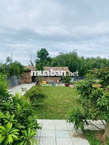 CẦN BÁN NHÀ VƯỜN NGHĨ DƯỠNG 1200M²,1VƯỜN TRÁI CÂY, AO CÁ. Ô TÔ TỚi
