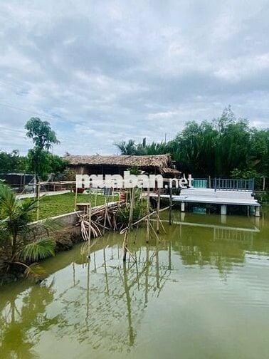 CẦN BÁN NHÀ VƯỜN NGHĨ DƯỠNG 1200M²,1VƯỜN TRÁI CÂY, AO CÁ. Ô TÔ TỚi