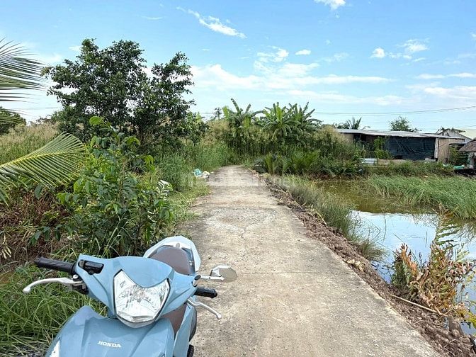 Cần bán 508m2 đất nuôi thuỷ sản, đường Liên ấp 2-3, Hiệp Phước giá 1tỷ