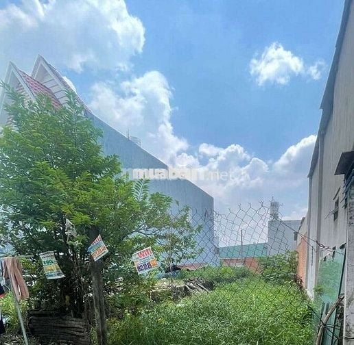 BÁN ĐẤT ẤP 4 XÃ BÀ ĐIỂM( XTT CŨ) 5×23M.