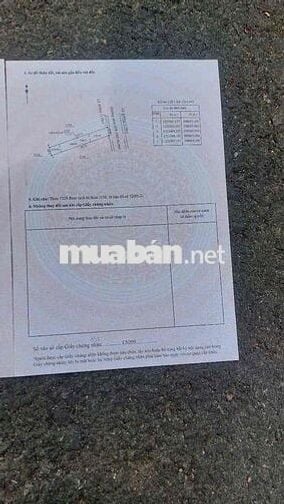 CHÍNH CHỦ NGỘP NGÂN HÀNG CẦN BÁN LÔ ĐẤT SỔ RIÊNG MẶT TIỀN
