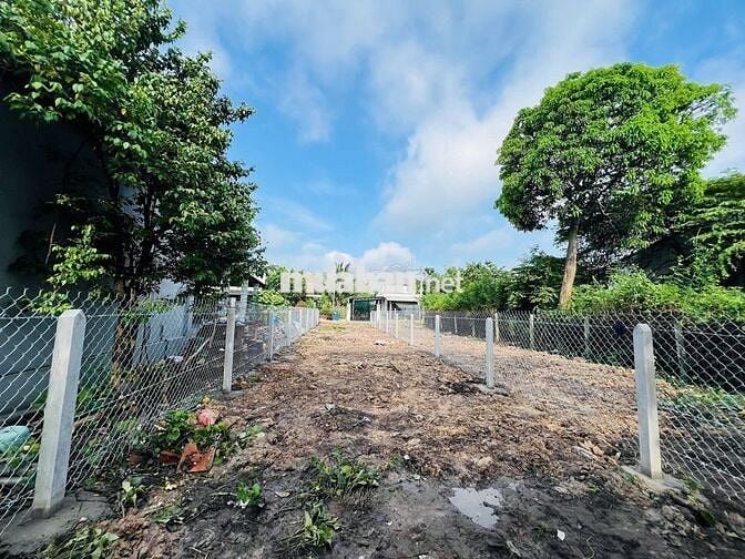 ĐẤT THỔ CƯ 5X29 NGAY PHƯỚC ĐÔNG GIÁ CHỈ 790 TRIỆU
