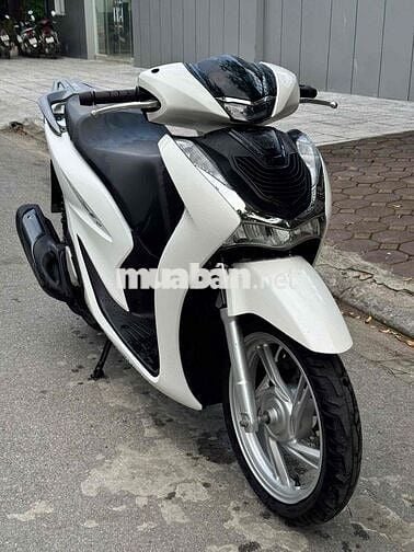SH Nguyên Bản 2020 Siêu Chất_Bảo Hành 3 Năm