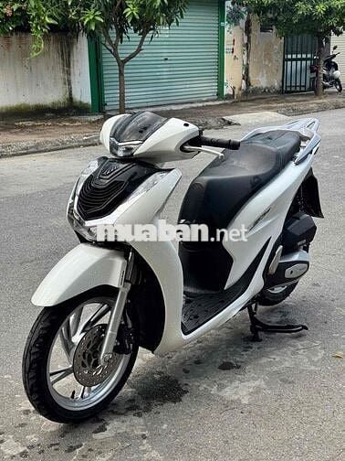 SH Nguyên Bản 2020 Siêu Chất_Bảo Hành 3 Năm