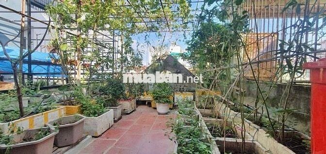 🏠 PHÂN LÔ Ô TÔ ĐỖ CỬA – 3 BƯỚC RA PHỐ – KHU VIP THANH XUÂN