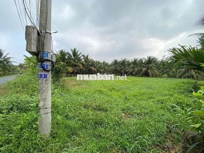 900m2 đất mặt tiền đường nhựa 4m