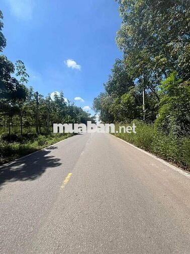 Sang nhanh đất mt Tân Hiệp. Giá rẻ, công chứng ngay