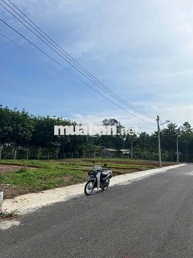 Sang nhanh đất mt Tân Hiệp. Giá rẻ, công chứng ngay