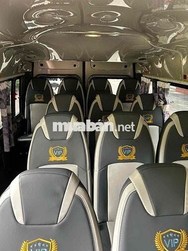 Ford Transit 2024 Tiêu chuẩn - chạy 37000 km