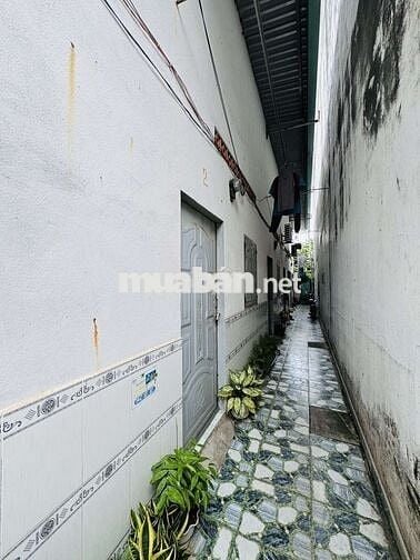 Bán Dãy Trọ HXH Đ.Số 8 Linh Xuan DT100m 5×20- 5 Phòng Thuê 15tr/ Tháng