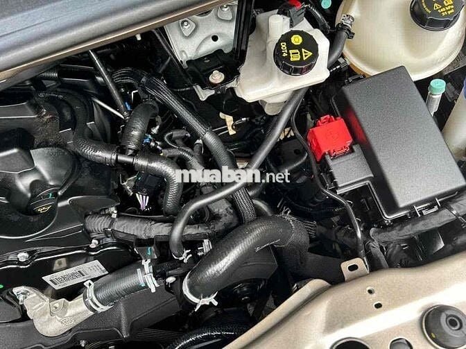 Ford Transit 2024 Tiêu chuẩn - chạy 37000 km
