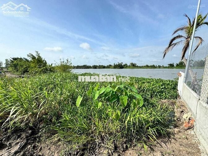 CHÍNH CHỦ BÁN 1759m2 ĐẤT THỔ CƯ MẶT TIỀN SÔNG VÀM CỎ ĐÔNG