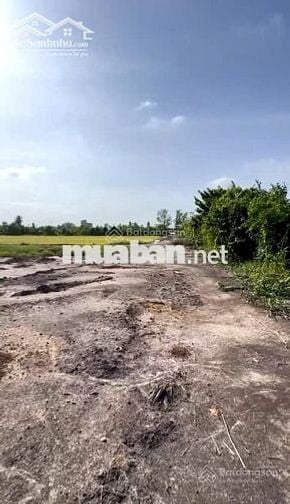 CHÍNH CHỦ BÁN 1759m2 ĐẤT THỔ CƯ MẶT TIỀN SÔNG VÀM CỎ ĐÔNG