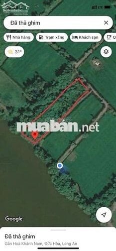 CHÍNH CHỦ BÁN 1759m2 ĐẤT THỔ CƯ MẶT TIỀN SÔNG VÀM CỎ ĐÔNG