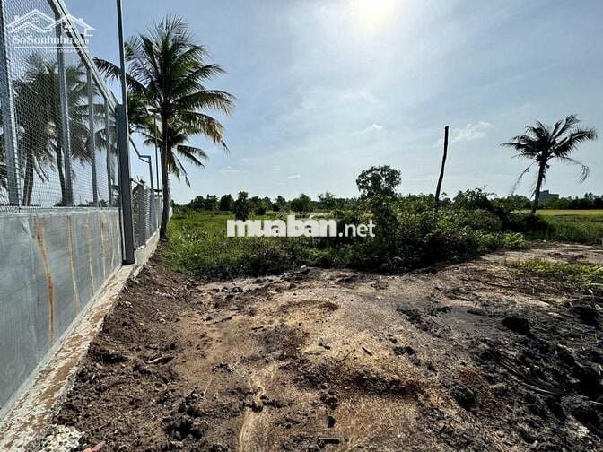 CHÍNH CHỦ BÁN 1759m2 ĐẤT THỔ CƯ MẶT TIỀN SÔNG VÀM CỎ ĐÔNG