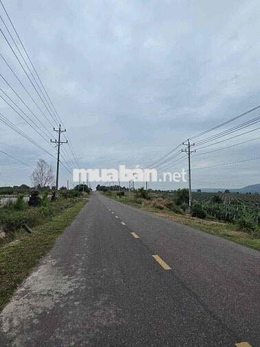 BÁN ĐẤT THÔN THUẬN MINH, XÃ THUẬN QUÝ, HÀM THUẬN NAM, BÌNH THUẬN