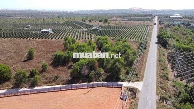 BÁN ĐẤT THÔN THUẬN MINH, XÃ THUẬN QUÝ, HÀM THUẬN NAM, BÌNH THUẬN