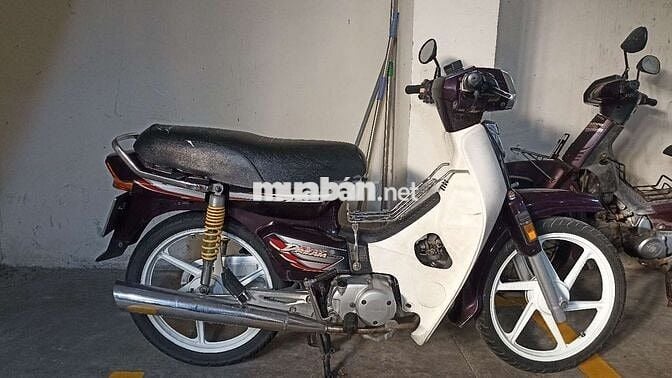 Sp208, 9chủ bstp